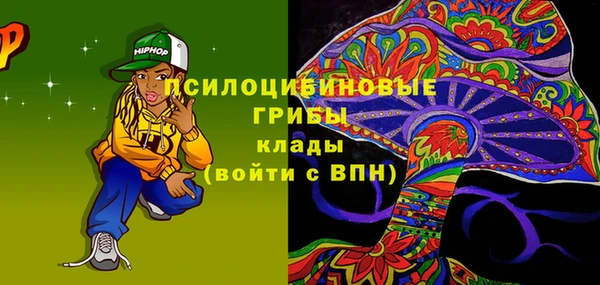 мдпв Бронницы