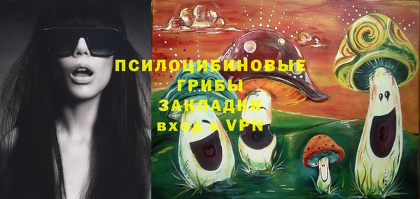мдпв Бронницы